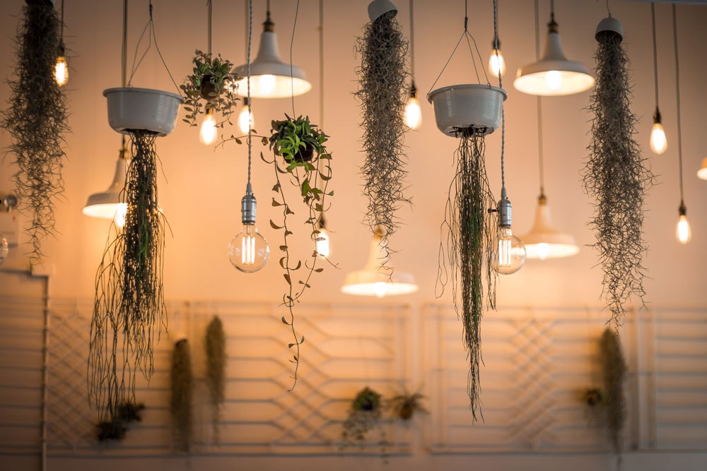 Lighting Showrooms Sydney