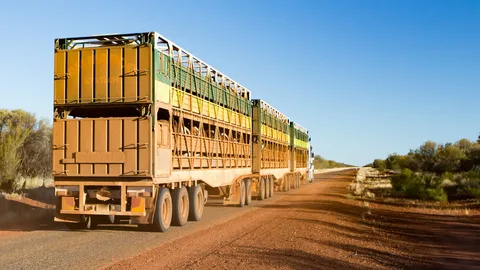 Aussie trailers