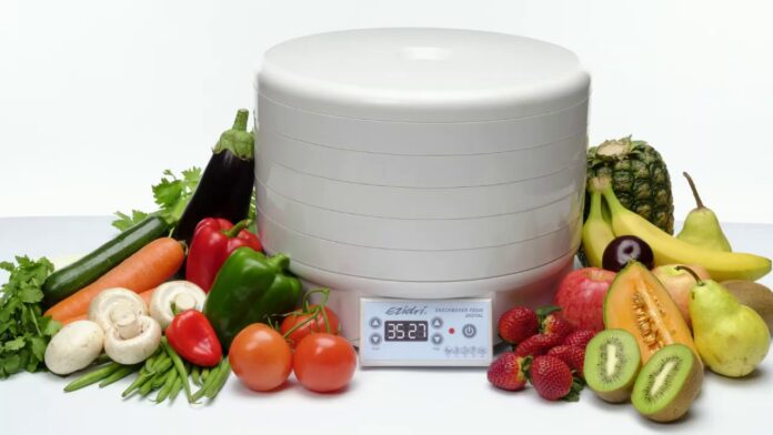 Best Food Dehydrator