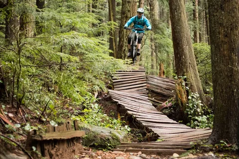  North Shore Tutors