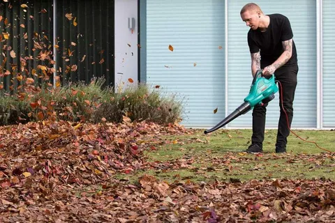 Cordless blowers Brisbane