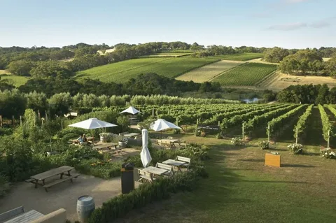 Melbourne_Airport_Transfers_To_Mornington_Peninsula
